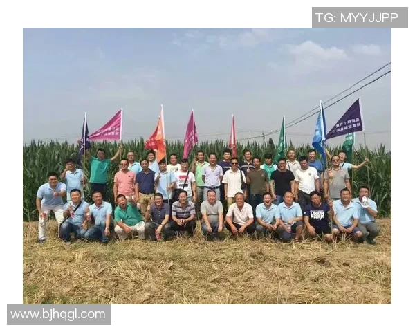 重庆羽毛球队重塑辉煌之路的反击与创新探索